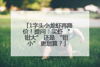 1字头小龙虾再降价！提问：买虾 “钳大” 还是 “钳小” 更划算？