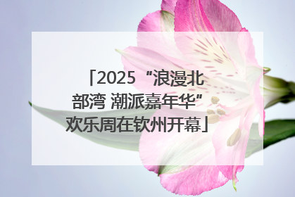 2025“浪漫北部湾 潮派嘉年华”欢乐周在钦州开幕