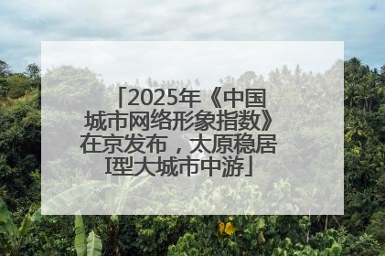 2025年《中国城市网络形象指数》在京发布，太原稳居I型大城市中游