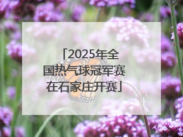 2025年全国热气球冠军赛在石家庄开赛