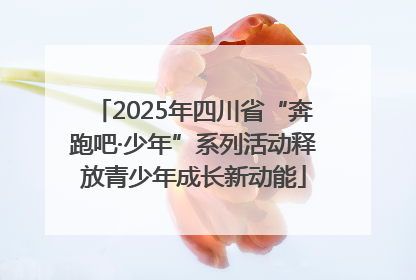 2025年四川省“奔跑吧·少年”系列活动释放青少年成长新动能