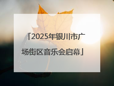 2025年银川市广场街区音乐会启幕