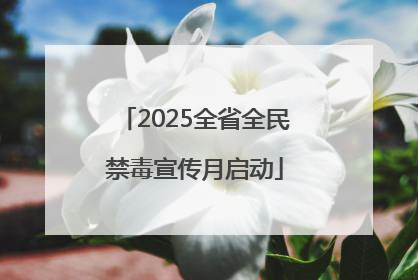 2025全省全民禁毒宣传月启动