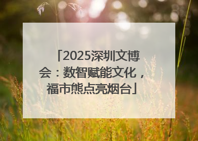 2025深圳文博会：数智赋能文化，福市熊点亮烟台
