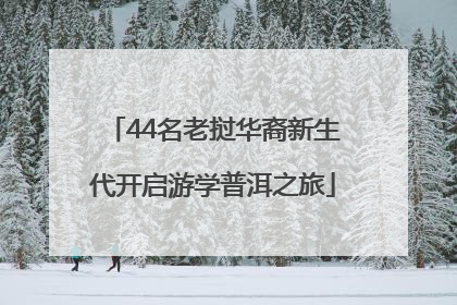 44名老挝华裔新生代开启游学普洱之旅