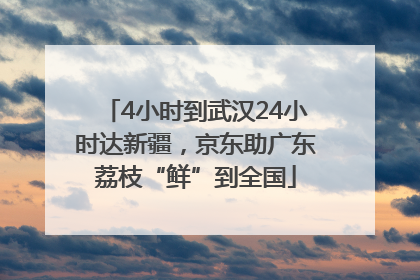 4小时到武汉24小时达新疆，京东助广东荔枝“鲜”到全国