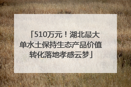 510万元！湖北最大单水土保持生态产品价值转化落地孝感云梦
