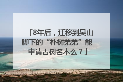 8年后，迁移到吴山脚下的“朴树弟弟”能申请古树名木么？