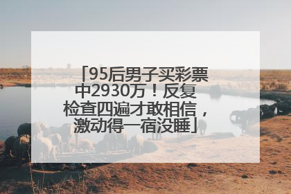 95后男子买彩票中2930万！反复检查四遍才敢相信，激动得一宿没睡