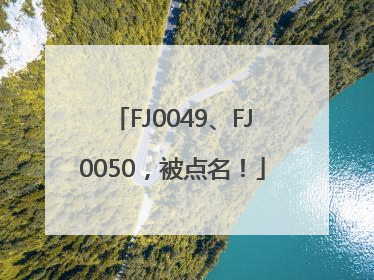 FJ0049、FJ0050，被点名！