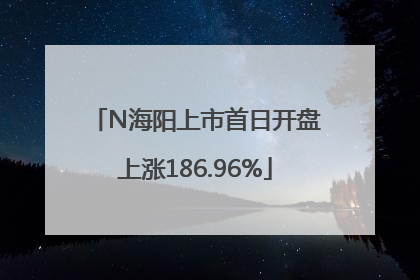 N海阳上市首日开盘上涨186.96%