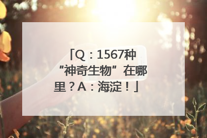 Q：1567种“神奇生物”在哪里？A：海淀！
