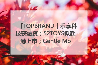 TOPBRAND｜乐享科技获融资；52TOYS拟赴港上市；Gentle Monster合作谷歌；Valentino传播官离职